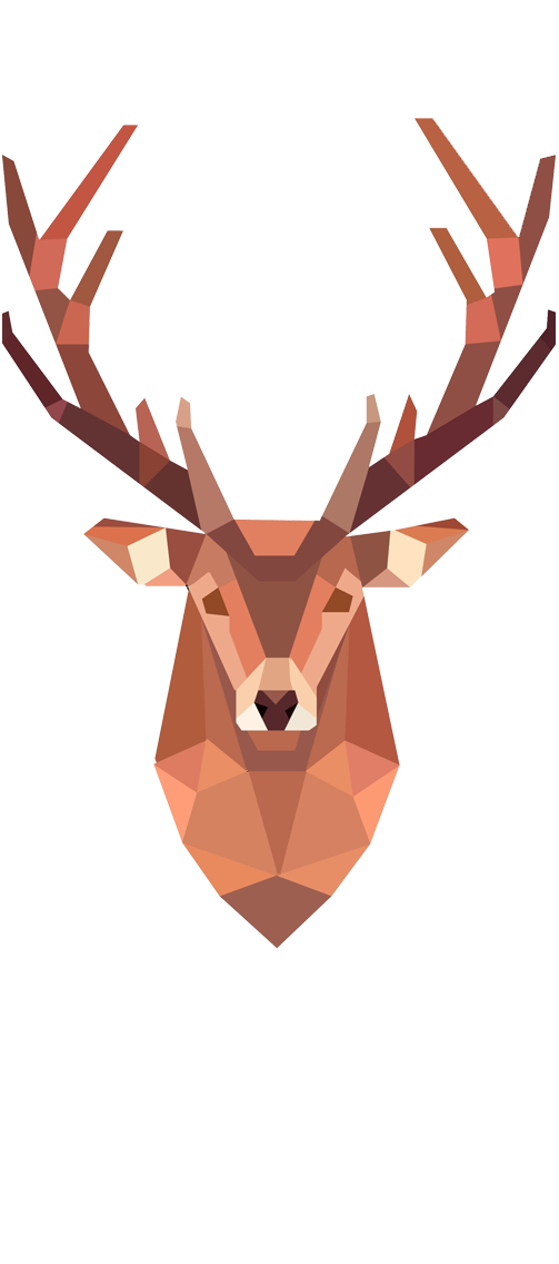 Dead Deer Removal